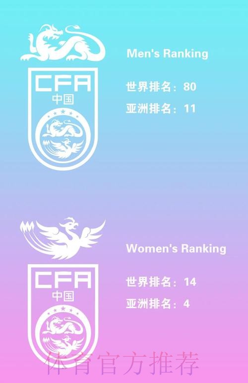 深入解析世界杯球队排名变化趋势